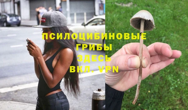 не бодяженный Володарск